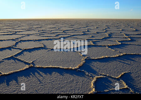 Wabenstruktur auf dem Salzsee Salar de Uyuni, Uyuni, Potosi, Bolivien Stockfoto