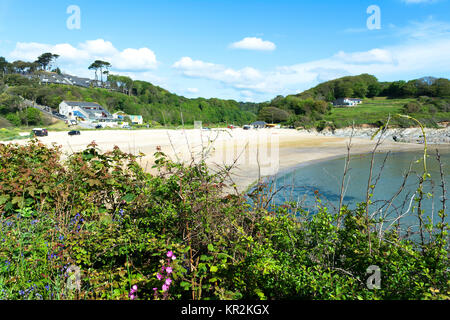 Anfang Sommer in Maenporth Beach in der Nähe von Falmouth, Cornwall, England, Großbritannien. Stockfoto