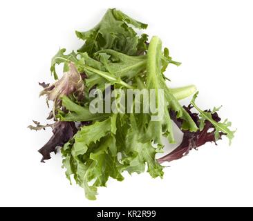 Roter und grüner Salat Stockfoto