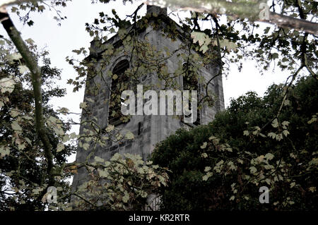 Ruinen von St John's Kirche. Der verzauberte Turm steht eklatante unten durch die Zweige am Grab unten. Colwick, Nottingham, England, UK. Stockfoto