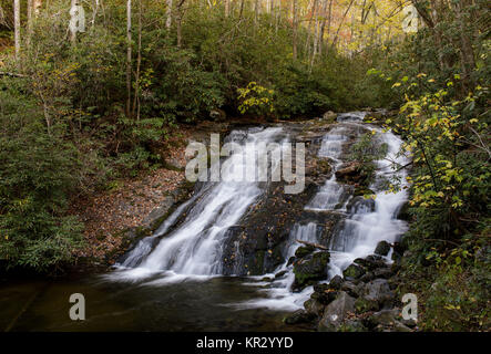 Indian Creek Falls sind eine von drei Wasserfällen im Deep Creek Campgrond Bereich der Great Smoky Mountain National Park. Sie sind 25 Fuß in der Höhe und sind eine Folie Typ Wasserfall. Sie können über einen kurzen Spaziergang von der Kreuzung der Deep Creek und Indian Creek Wanderwege erreicht werden. Die Deep Creek Trail beginnt außerhalb von Bryson City und läuft über 15 km bis zu einer Kreuzung mit uns 441 in der Nähe von Newfound Gap. Der Weg folgt der Deep Creek eng bis zum endgültigen Aufstieg aus dem Einzugsgebiet zu uns 441. In der Nähe der Anfang der Spur gibt es mehrere loop Wanderungen einschließlich eines 2,5 Kilometer Schleife, die Sie durch die drei w nehmen Stockfoto