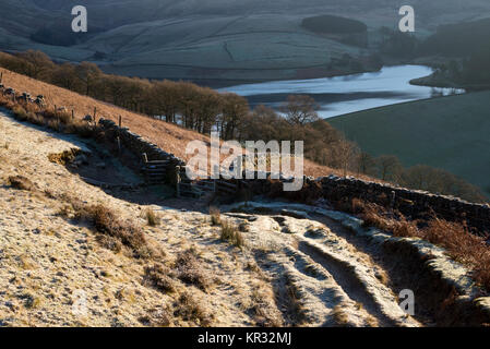 Frosty Pfad in den Hügeln in der Nähe von Hayfield, Derbyshire. Blick auf Kinder Behälter. Ein beliebtes Wandergebiet des Peak District. Stockfoto