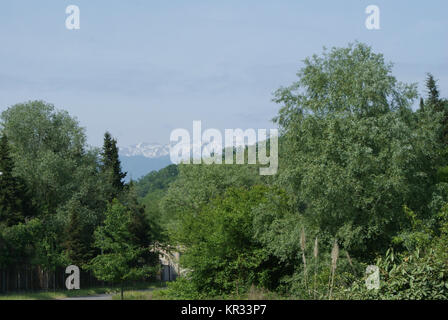 Klare Natur in Mussera, Abchasien Stockfoto