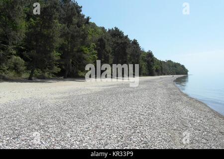 Klare Natur in Mussera, Abchasien Stockfoto