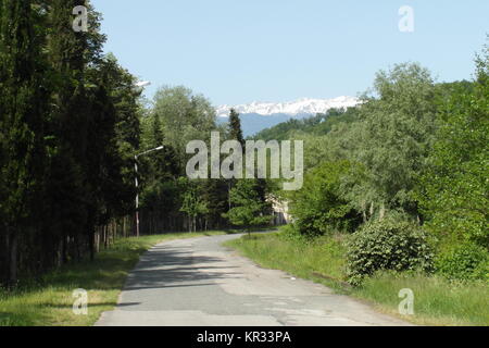 Klare Natur in Mussera, Abchasien Stockfoto