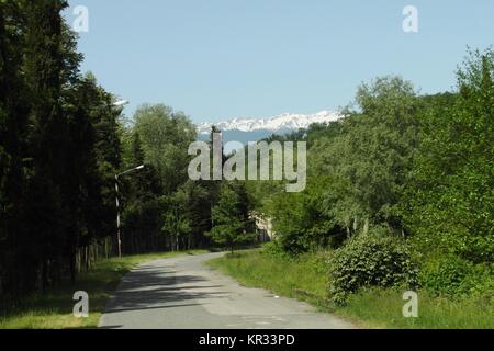 Klare Natur in Mussera, Abchasien Stockfoto