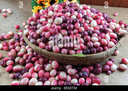 Karonda Carunda oder Obst Stockfoto