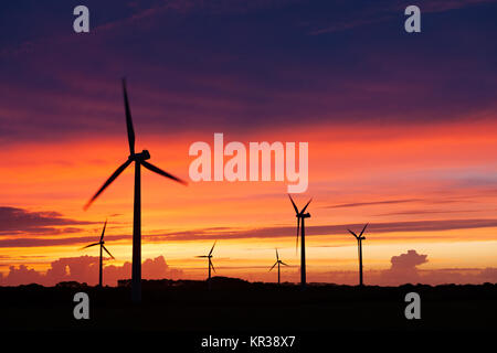 Silhouette von Windenergieanlagen auf einer erstaunlichen Sonnenuntergang Stockfoto