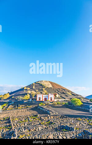 Weinberge in La Geria, Lanzarote, Kanarische Inseln Stockfoto