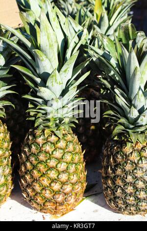 Bunte Ananas auf einem Markt in Santa Pola, Alicante, Spanien Abschaltdruck Stockfoto