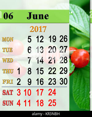 Kalender für Juni 2017 mit roten Beeren von Prunus tomentosa Stockfoto