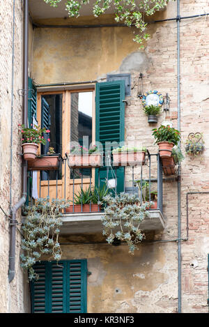 Balkon mit Blumen und grünen Fensterläden in der mittelalterlichen Stadt Siena in der Toskana, Italien Stockfoto