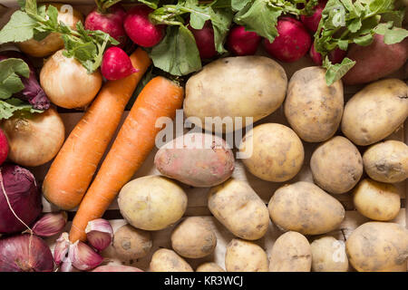 Gemüse und Wurzeln in einer Holzkiste Stockfoto