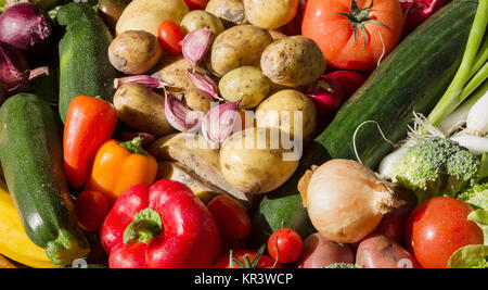 Gemüse in eine bunte Gruppe als Sunny noch Leben Stockfoto