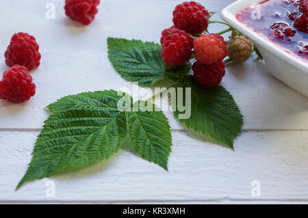 Grüne Blätter und Himbeeren Stockfoto