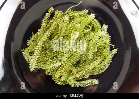 Grüne Kaviar auf schwarzem Teller Stockfoto