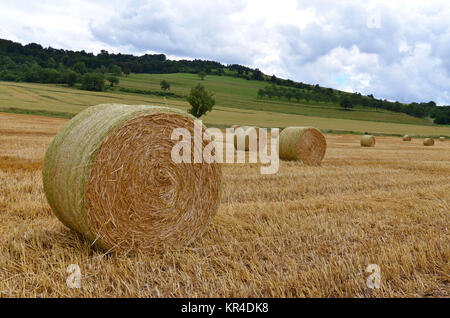 Feld mit Strohballen Stockfoto