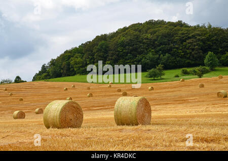 Feld mit Strohballen Stockfoto