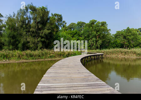 Lange Holzbrücke im Mangrovenwald Stockfoto