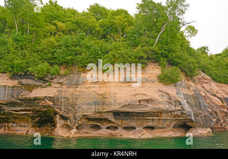 Bäume und Erodierten Sandstein Stockfoto
