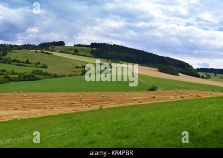 Getreideernte in der rhÃ¶n Stockfoto