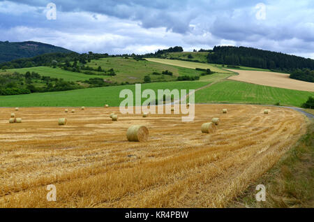 In der rhÃ¶n gehandelt Stockfoto