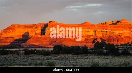 Sonnenuntergang gießen ein rotes Licht auf den Felsen der Nadeln Bereich im Canyonlands National Park, Utah. Stockfoto