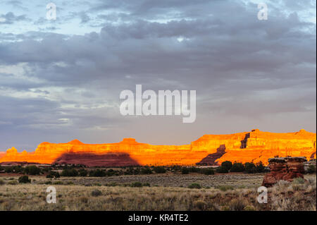 Sonnenuntergang gießen ein rotes Licht auf den Felsen der Nadeln Bereich im Canyonlands National Park, Utah. Stockfoto