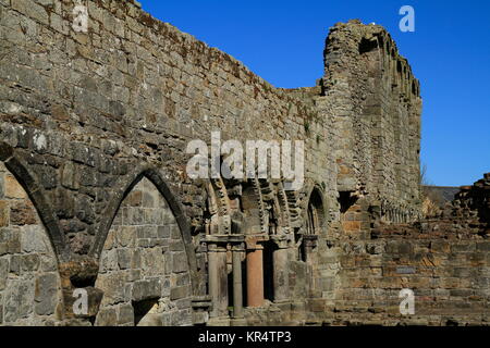 Ruine der St. Andrews Cathedral, Schottland Stockfoto