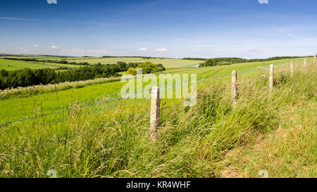 Landwirtschaftlich genutzten Feldern und Kreide Downland um die dünn besiedelten Tarrant Valley in Englands Dorset Downs Hügeln. Stockfoto