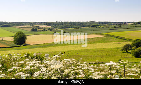 Landwirtschaftlich genutzten Feldern und Kreide Downland um die dünn besiedelten Tarrant Valley in Englands Dorset Downs Hügeln. Stockfoto