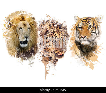 Löwe, Leopard und Tiger Aquarell Stockfoto