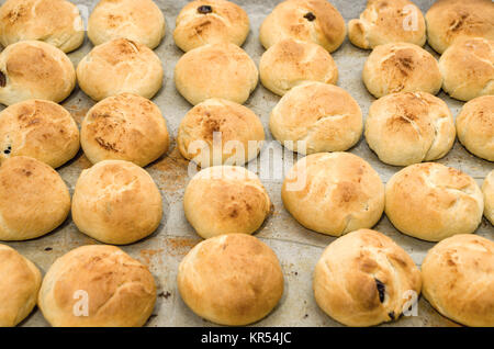 Backblech, mit Backpapier, voll von hausgemachten Weihnachten weichen Hefe Brötchen mit Zimt, Cranberry und Rosinen, gerade aus dem Ofen abgedeckt. Stockfoto