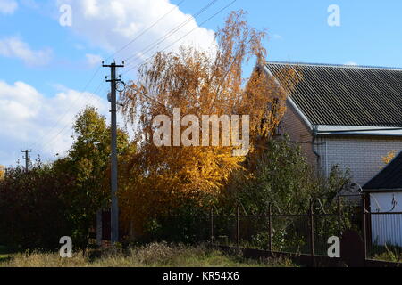 Sammlung von schönen bunten Herbstlaub Stockfoto