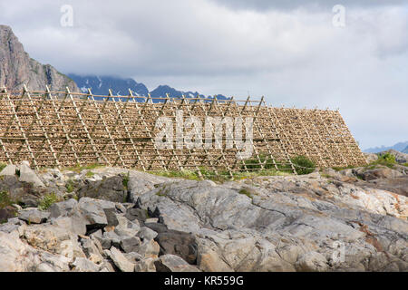 Übersicht von Regalen für die Trocknung von Stockfisch in Svolvaer auf den Lofoten in Norwegen Stockfoto