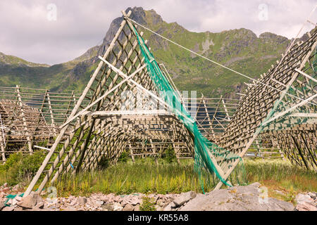 Übersicht von Regalen für die Trocknung von Stockfisch in Svolvaer auf den Lofoten in Norwegen Stockfoto