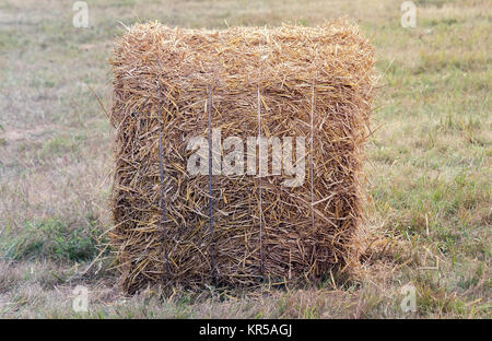 Ein Strohballen auf einem Feld nach der Ernte. Stockfoto