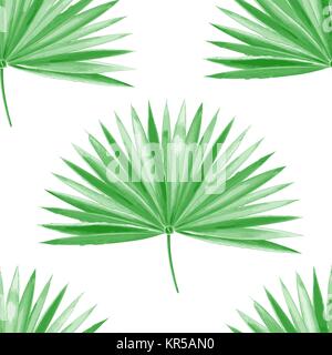 Aquarell palm leaf green Vektor Stock Vektor
