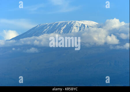 Schnee auf dem Kilimandscharo in Amboseli Stockfoto