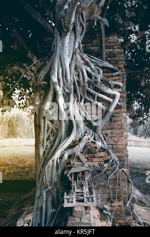 Tor der Zeit des Wat Phra Ngam antiken Tempel im Ayutthaya Historical Park, Thailand. Stockfoto