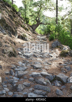 Wandern auf alten Straßen, die über der Cumbre Nueva Bergkette, auf La Palma Auf den Kanarischen Inseln, Spanien, dargestellt am 23.11.2017. | Verwendung weltweit Stockfoto