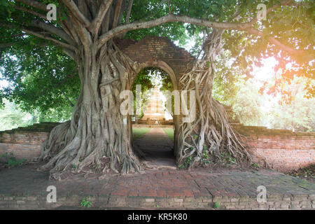 Tor der Zeit des Wat Phra Ngam antiken Tempel im Ayutthaya Historical Park, Thailand. Stockfoto