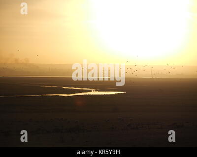 Harty, Kent, Großbritannien. 18 Dez, 2017. UK Wetter: Ein schöner Winter Sonnenuntergang an Harty auf der Insel Sheppey in Kent. Credit: James Bell/Alamy leben Nachrichten Stockfoto