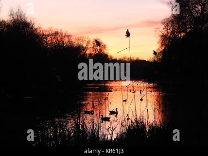 London, Großbritannien. 18 Dez, 2017. Sonnenuntergang über dem See in St James' Park, London am Montag, den 18. Dezember 2017 Quelle: KEITH MAYHEW/Alamy leben Nachrichten Stockfoto