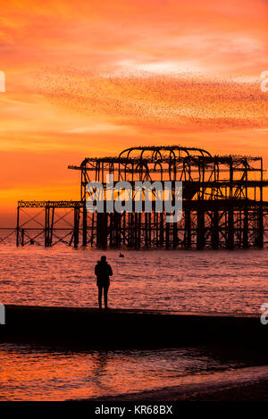 Brighton, East Sussex. Dezember 2017 19. UK Wetter. Bright Red Skies bei Sonnenuntergang am Ende des Tages, wo eine Herde von Tausende von Staren, die auf eine murmuration Anzeige oberhalb von Brighton West Pier. Credit: Francesca Moore/Alamy leben Nachrichten Stockfoto