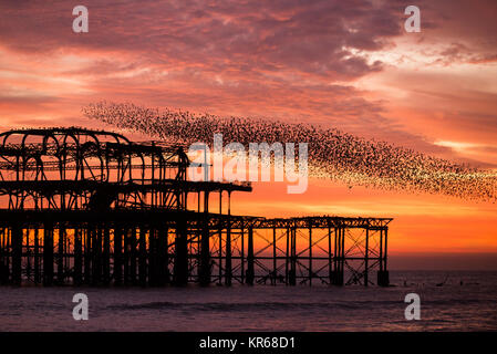 Brighton, East Sussex. Dezember 2017 19. UK Wetter. Bright Red Skies bei Sonnenuntergang am Ende des Tages, wo eine Herde von Tausende von Staren, die auf eine murmuration Anzeige oberhalb von Brighton West Pier. Credit: Francesca Moore/Alamy leben Nachrichten Stockfoto