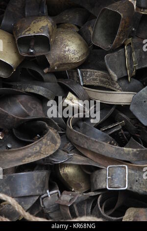 Kuhglocken an almabtrieb Stockfoto