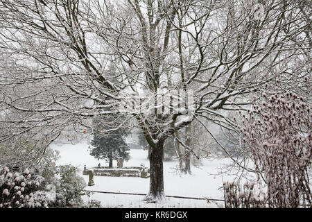 Europa, Deutschland, Snowy Park in Wetter an der Ruhr, Schneefall. Europa, Deutschland, verschneiter Park in Wetter an der Ruhr, Schneefall. Stockfoto