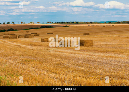 geernteten Feld mit Strohballen im Sommer Stockfoto