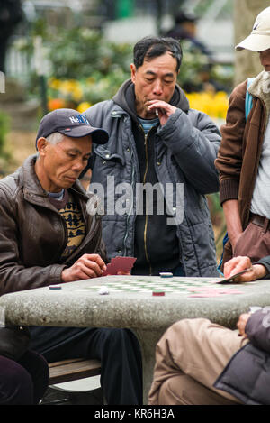 Lokale ältere chinesische Männer spielen Karten Spiele in Columbus Park, Manhattan, New York, USA Stockfoto